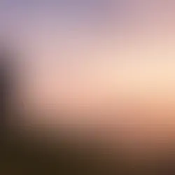 A Parent's Guide to Life Coaching Programs for Young Adults