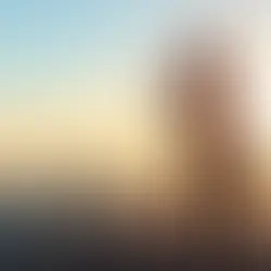 Career Coaching for Young Adults' First Job Search