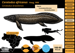 Ceratodus africanus