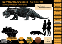 Hyperodapedon mariensis
