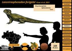 Lanceirosphenodon ferigoloi