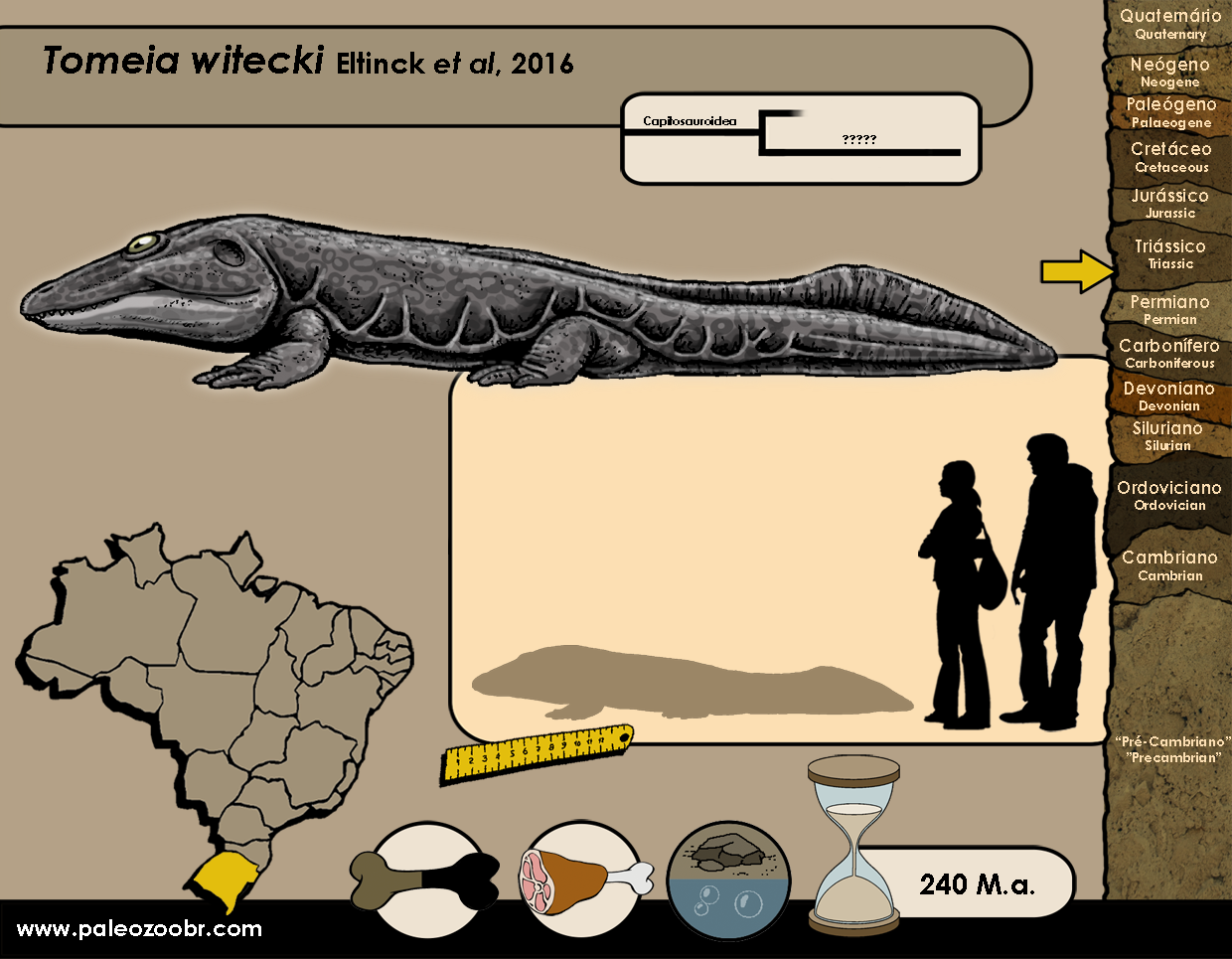 野村トーイ スーパー アクロバット ター坊 デッドストック 2ダース まとめ Amazon | (クローズ×ワースト) CROWS×WORST 7th KKK デス