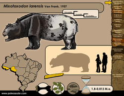 Mixotoxodon larensis