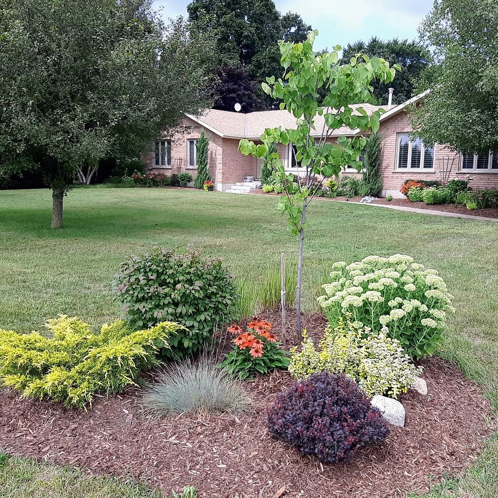 Country roadside garden