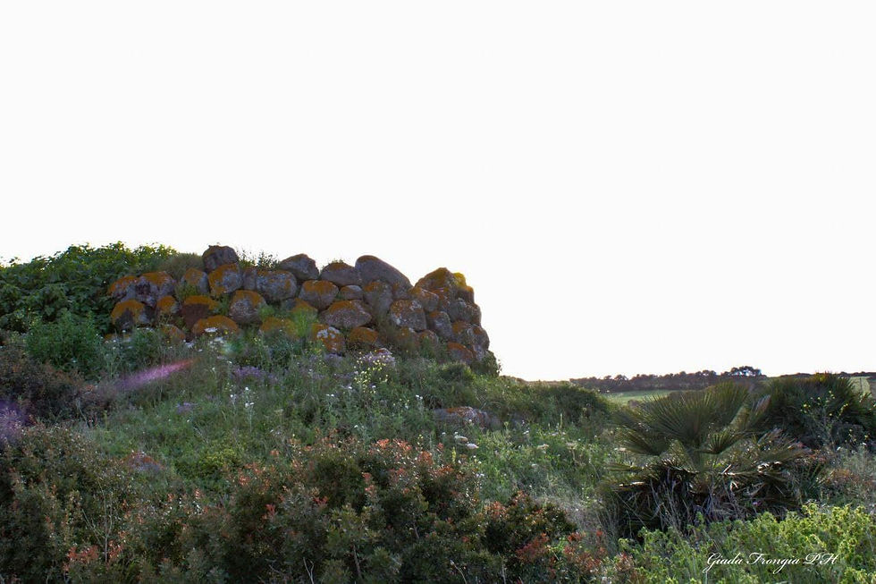 Luxia Arrabiosa