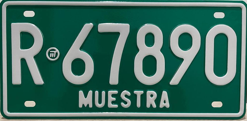 PLACA MUESTRA3
