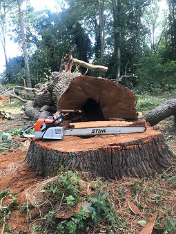 64415339_462682664288187_784879837688679