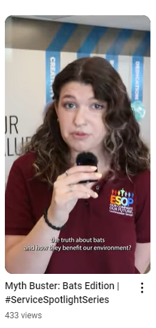 Bats MythBusters Reel