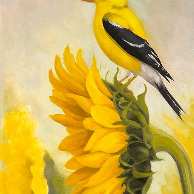 Laurie Flaherty