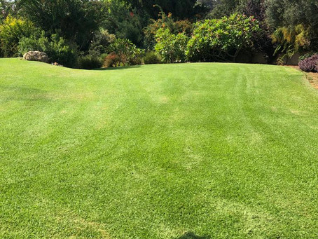 תקציר פסק דין המכיר בזכויות של שני אחים בנחלה אחת