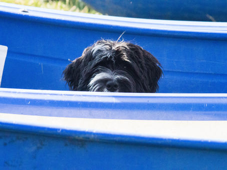 Unser Tag mit Caraminchen/ Hermine