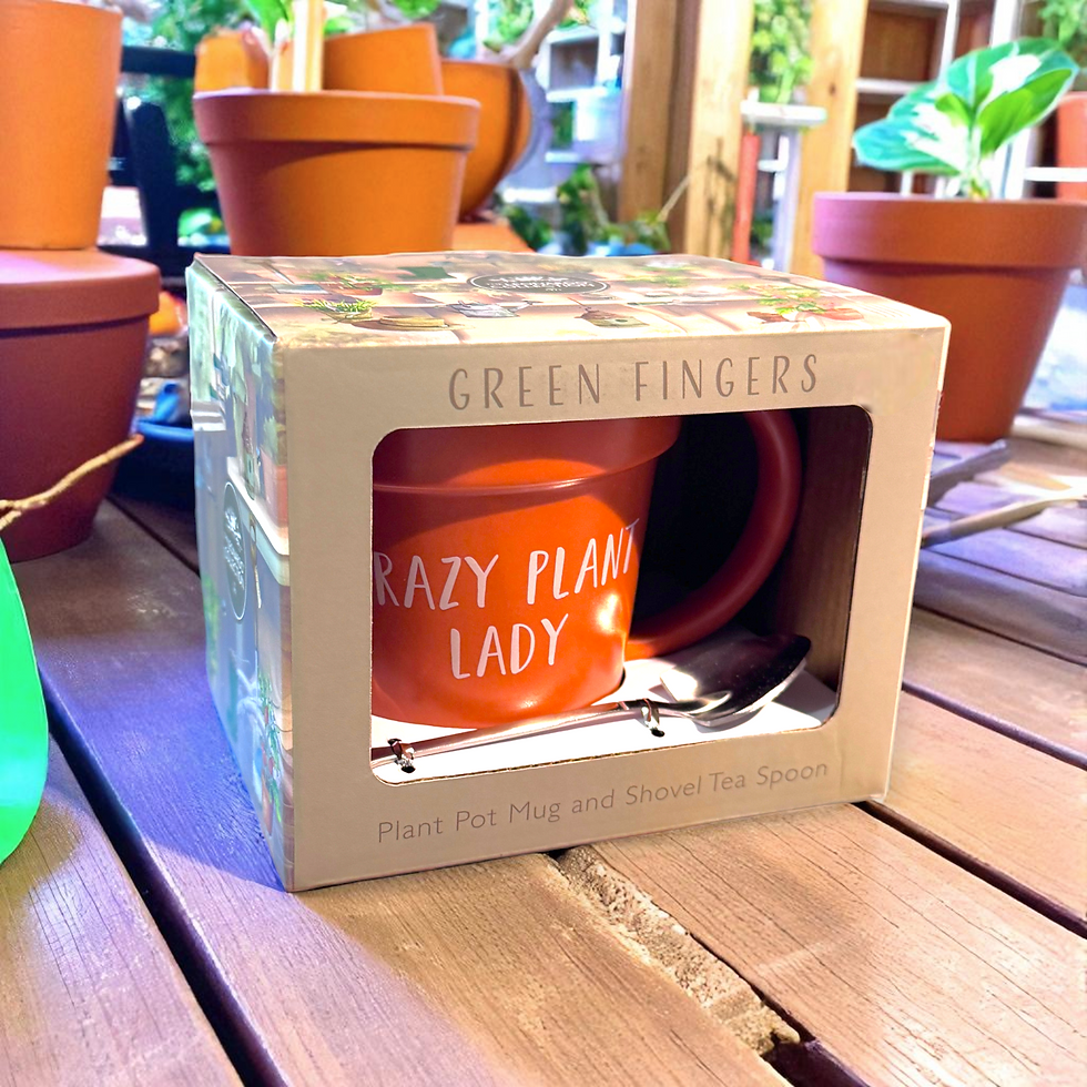 Миниатюра: Green Fingers Plant Pot Mug - Crazy Plant Lady