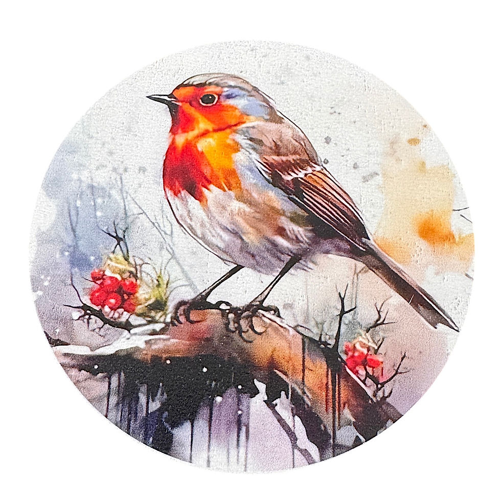 Pikkukuva: Visiting Robin - 6 pc Coaster Box Set