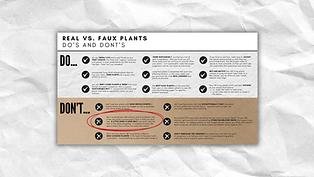fake plants cover.png
