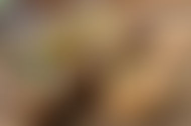 Remède naturel règles douloureuses : les solutions les plus efficaces