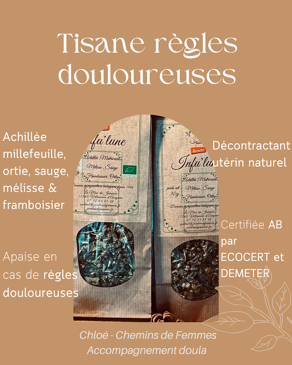 infusion naturelle douleurs menstruelles avec framboisier sauge tisane bien-être féminin