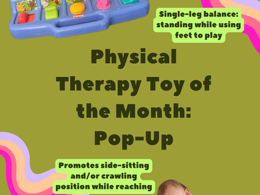 Physical Therapy: Toy of the Month - JULY