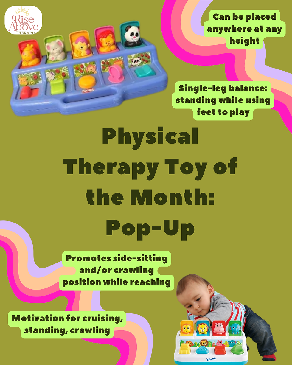 Physical Therapy: Toy of the Month - JULY