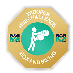 Box and Swing