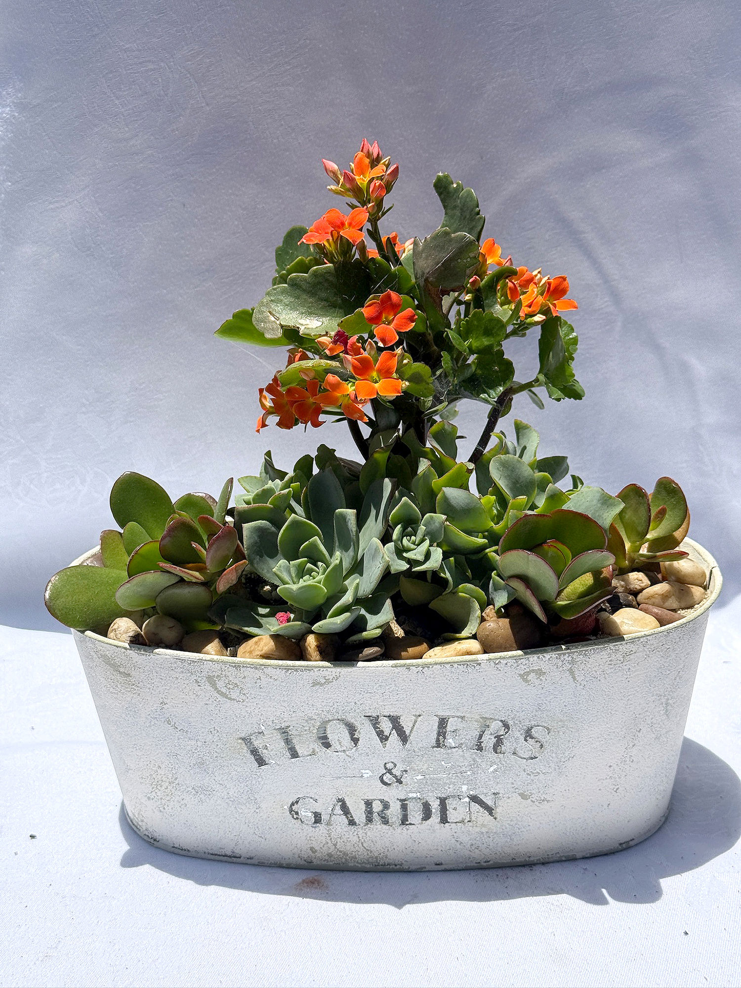 Flowers & Garden Pot Creations