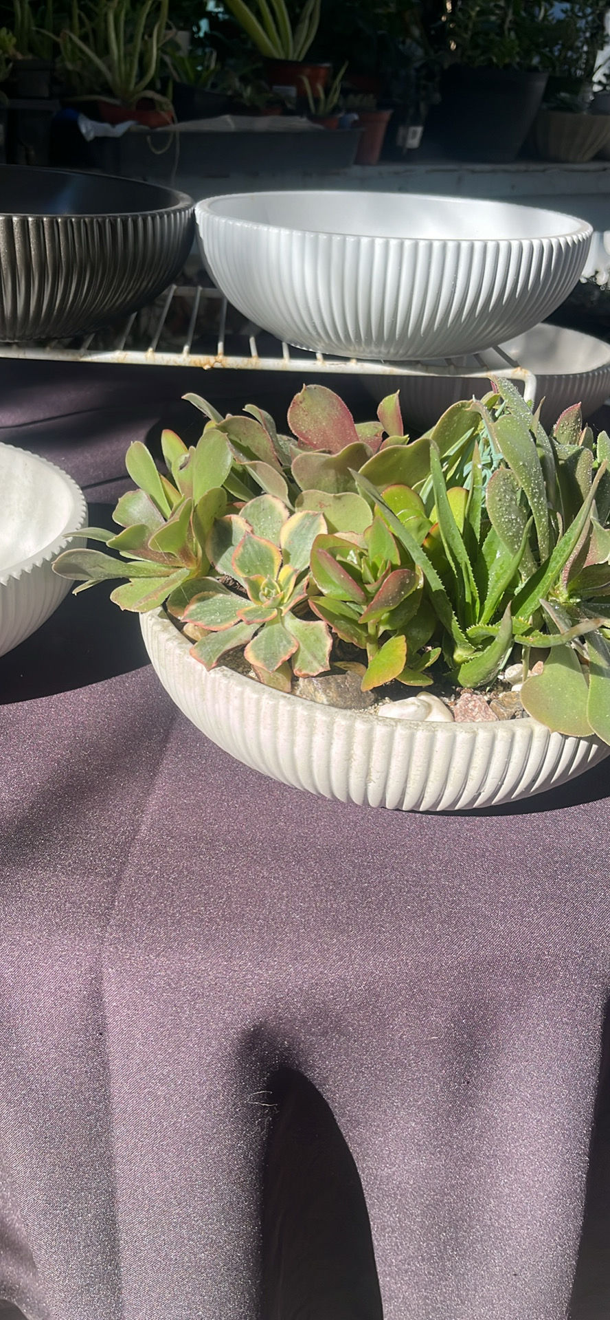 Thumbnail: Ribbed handmade cement bowls
