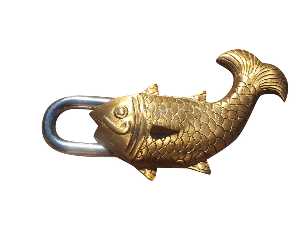 Zicc ® Lock Big Fish
