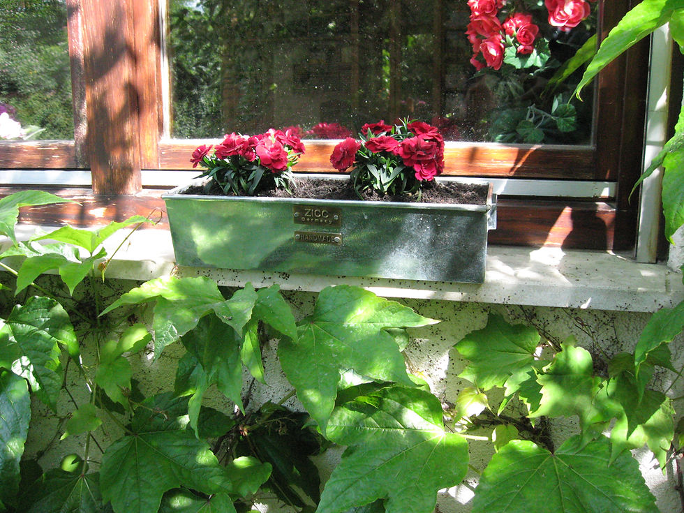 Miniaturbild: Zicc ® Flower Boxes
