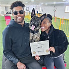 Malinois-Ecollar-Training-Ontario.jpg