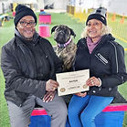 English-Mastiff-Ecollar-Training-Ontario.jpg