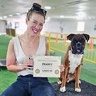 Boxer-Dog-Off-leash-Training.jpg