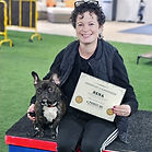 French-Bulldog-Ecollar-Training.jpg