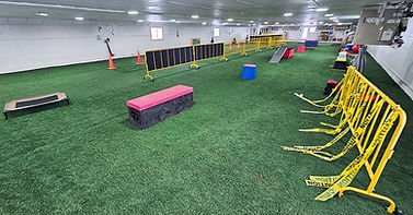 Dog-Distraction-Training-Facility-Cambridge.jpg