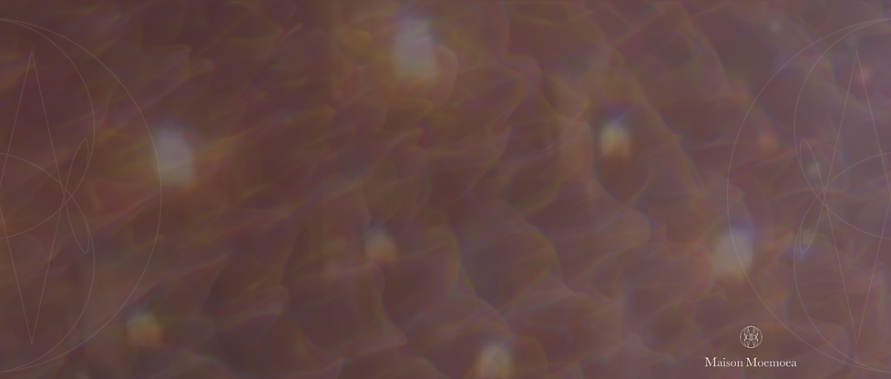 Screenshot 2022-08-19 at 00.44.46.png