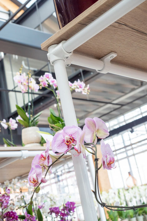 Het verhaal van Ter Laak Orchids vormgeven