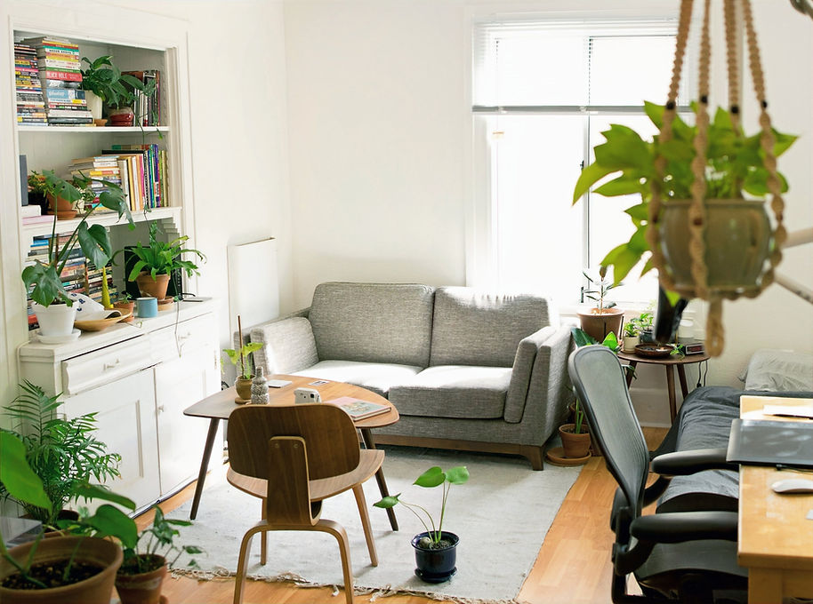 bright cottage lounge with sofa and plants managed by full bed hosts the holiday let manag