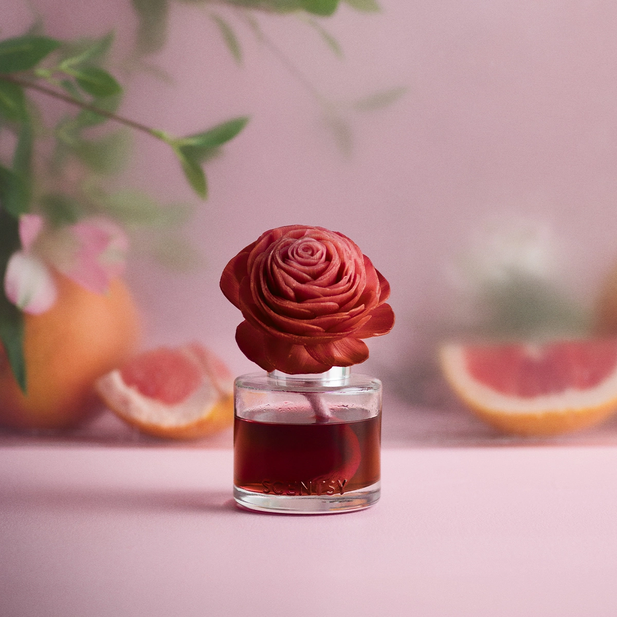 Rote Duftblume Scentsy auf rosa Hintergrund mit Verschwommenen Blüten & Graipfruit im Hintergrund.