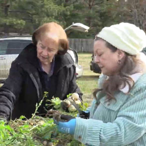 Jenny Russell Giving Garden