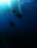 Scuba Diving Valroa