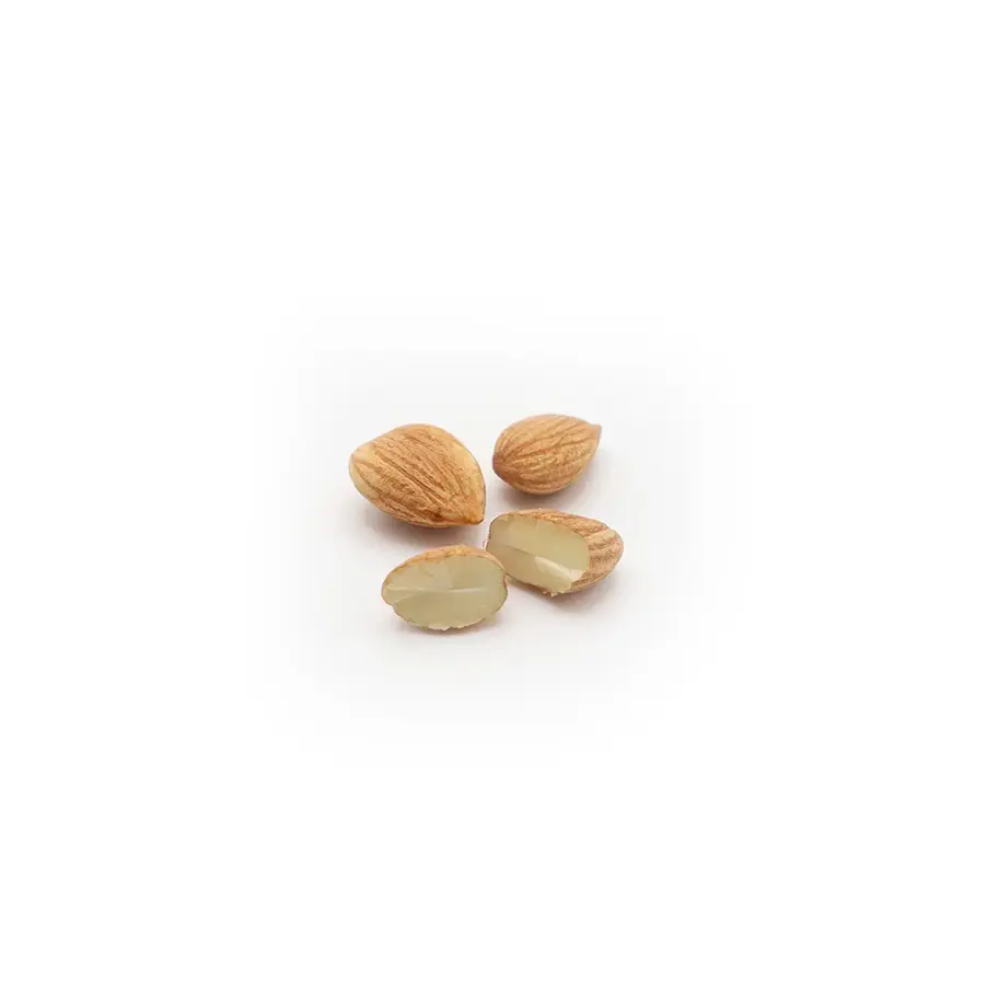 Raw Afghanistan apricot kernels premium-quality, nutrient-rich superfood.