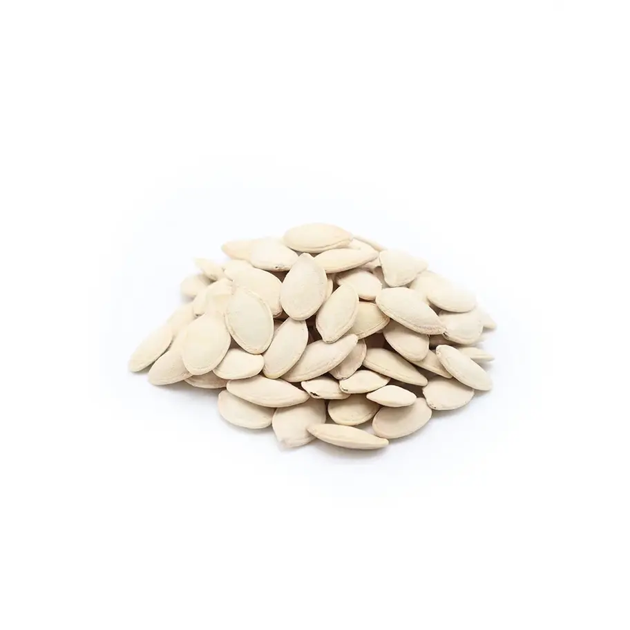 Roasted squash seeds salted kusa classic Middle Eastern snack.