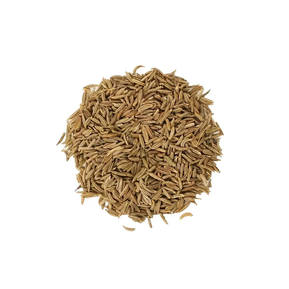 Caraway seeds aromatic spice for baking, stews, and herbal remedies.