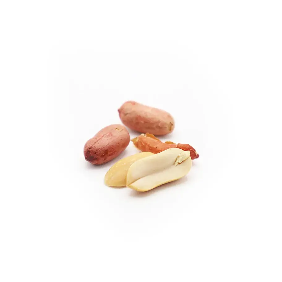 Dry-roasted shelled peanuts crunchy, oil-free snack for healthy eating.