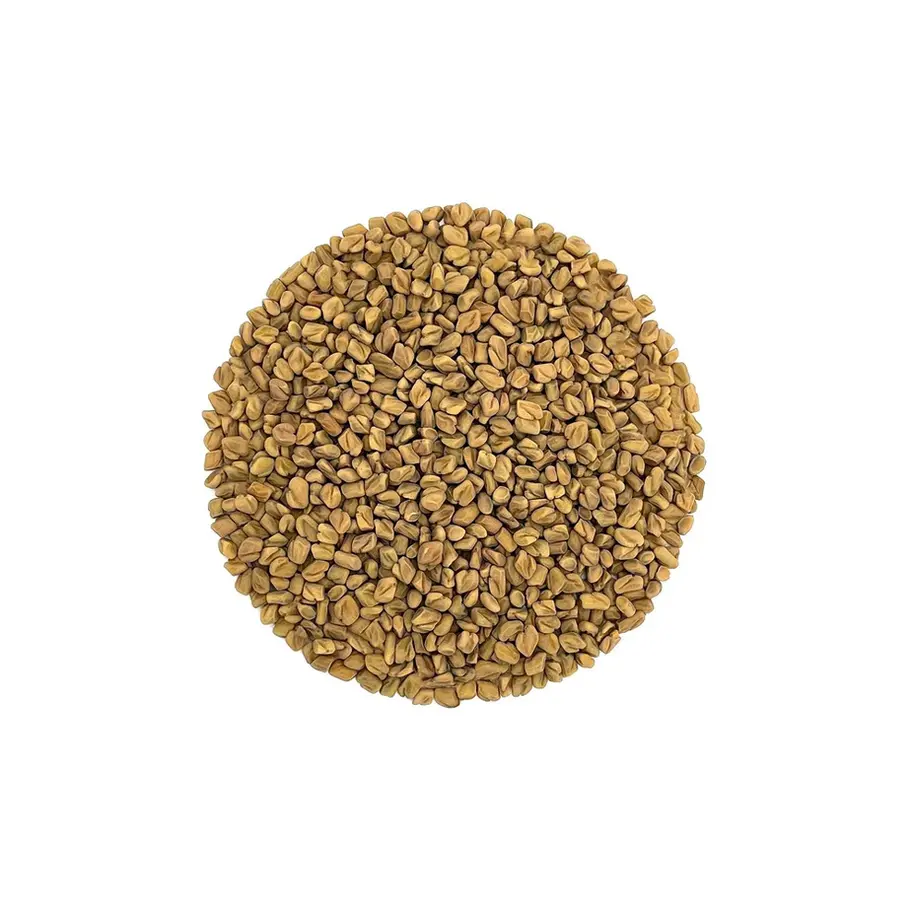 Fenugreek seeds aromatic golden spice for cooking, herbal teas, and wellness remedies.