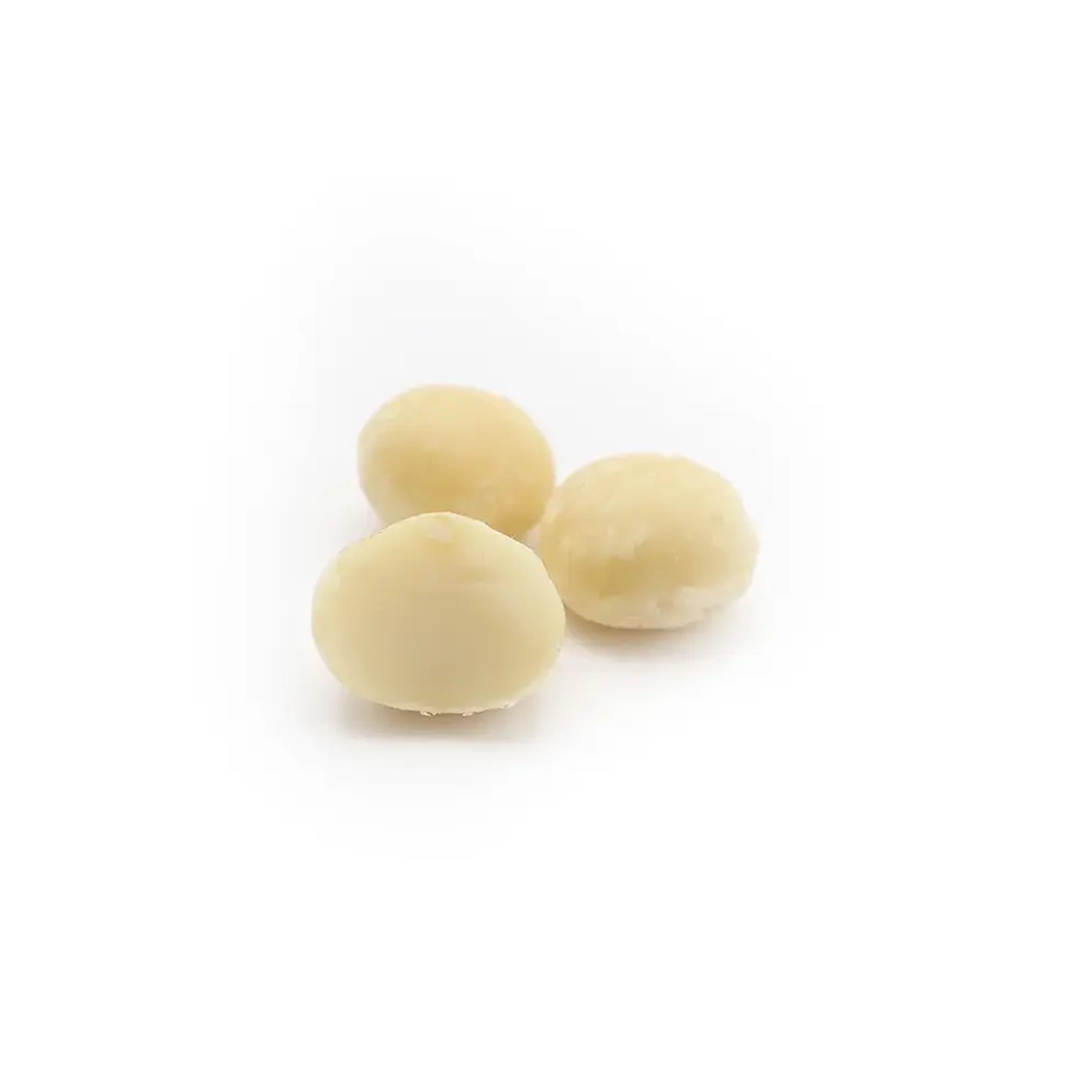 Raw macadamia jumbo extra-large, creamy, and nutrient-rich nuts.
