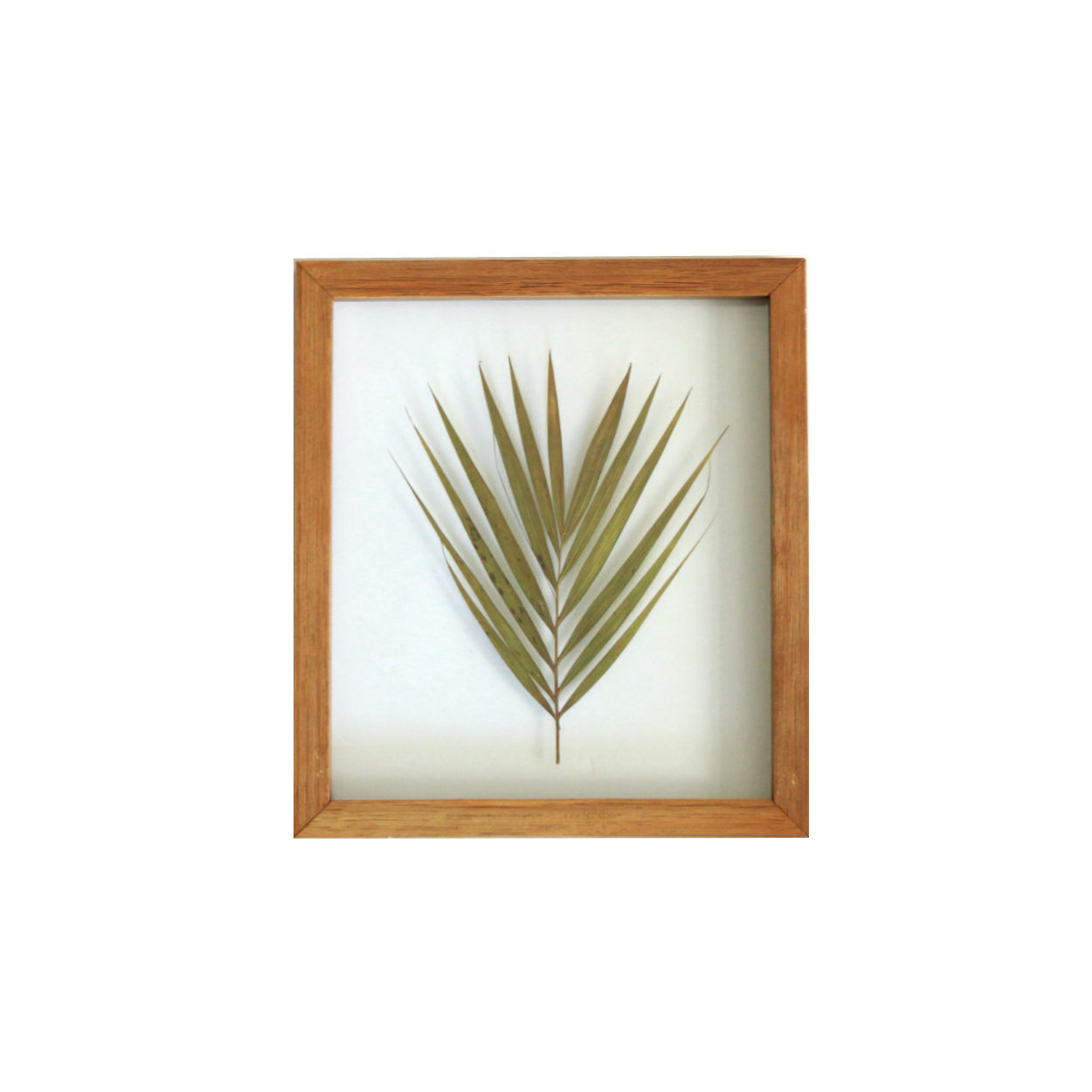 Q U A D R O  areca bambú