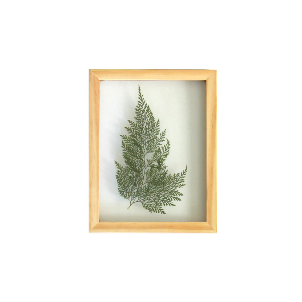 Q U A D R O renda portuguesa retangular