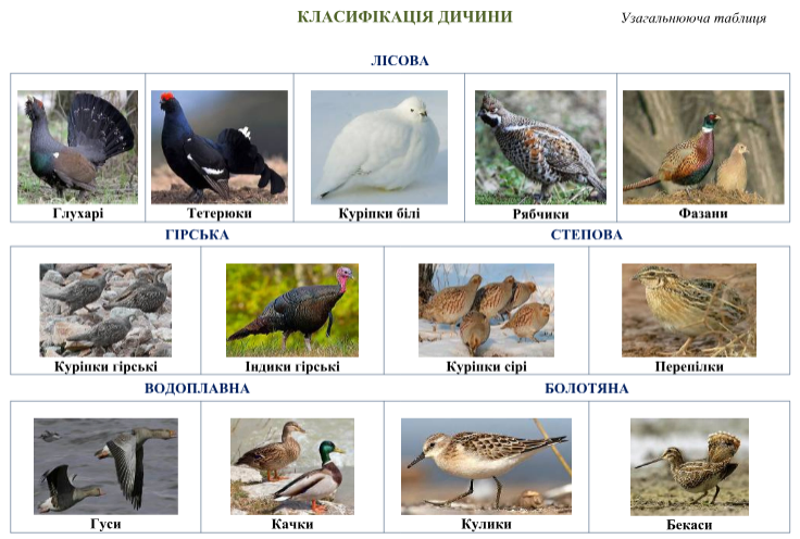 Безымянный.png