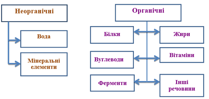 Безымянный.png