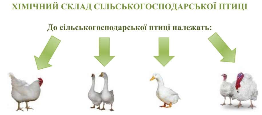 Безымянный.png