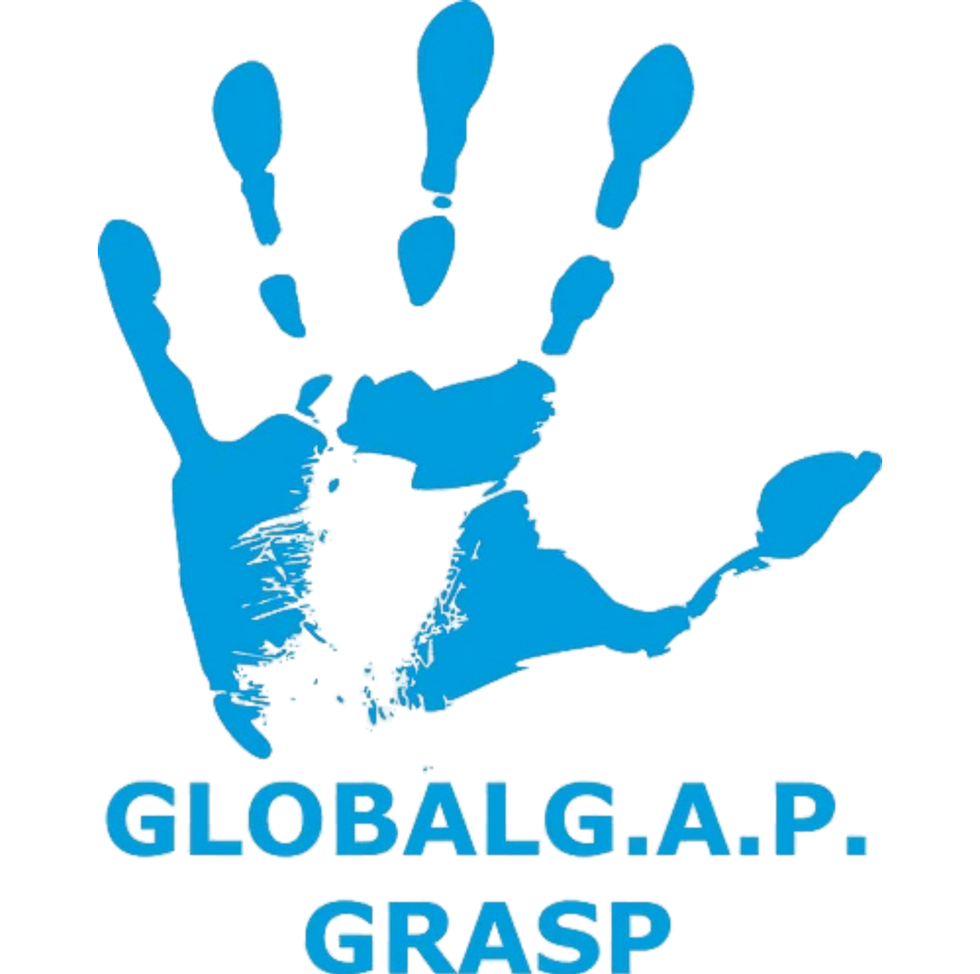 GlobalGRASP.png
